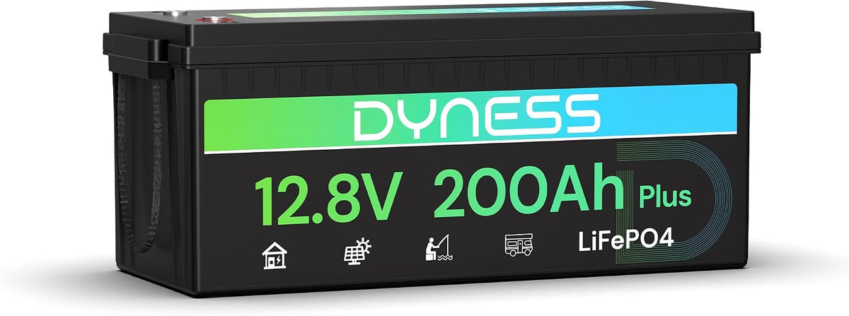 Bateria automóvel, Dyness, LiFePO4, 12 V, 200 Ah, 200 A, Vermelho, para a sala